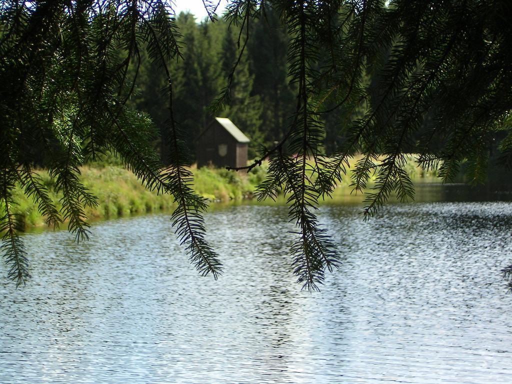 Ferienwohnung Im Harz-Haus-Bruns クラウスタール・ツェラーフェルト 部屋 写真