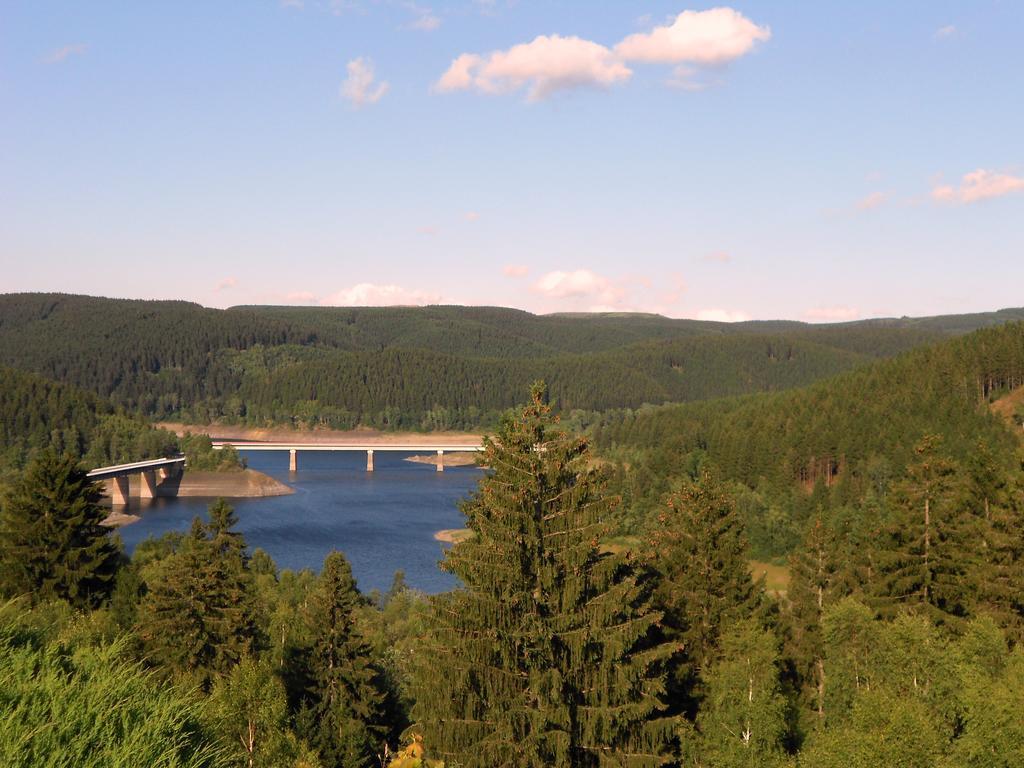 Ferienwohnung Im Harz-Haus-Bruns クラウスタール・ツェラーフェルト 部屋 写真