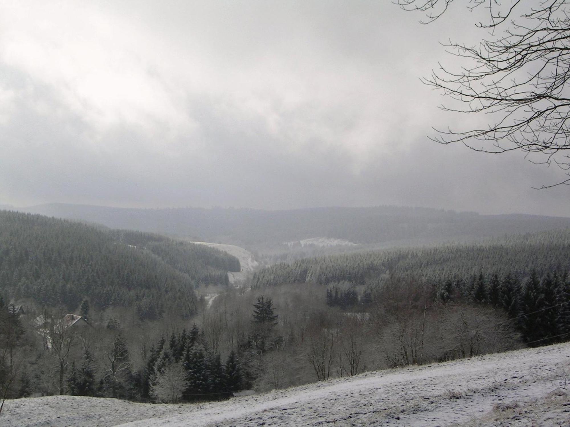 Ferienwohnung Im Harz-Haus-Bruns クラウスタール・ツェラーフェルト エクステリア 写真