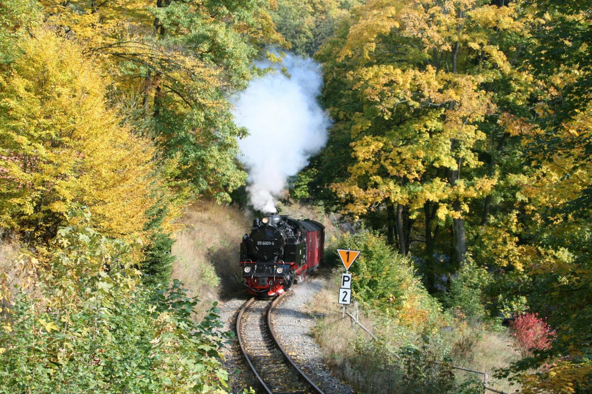Ferienwohnung Im Harz-Haus-Bruns クラウスタール・ツェラーフェルト エクステリア 写真