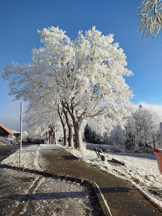 Ferienwohnung Im Harz-Haus-Bruns クラウスタール・ツェラーフェルト エクステリア 写真