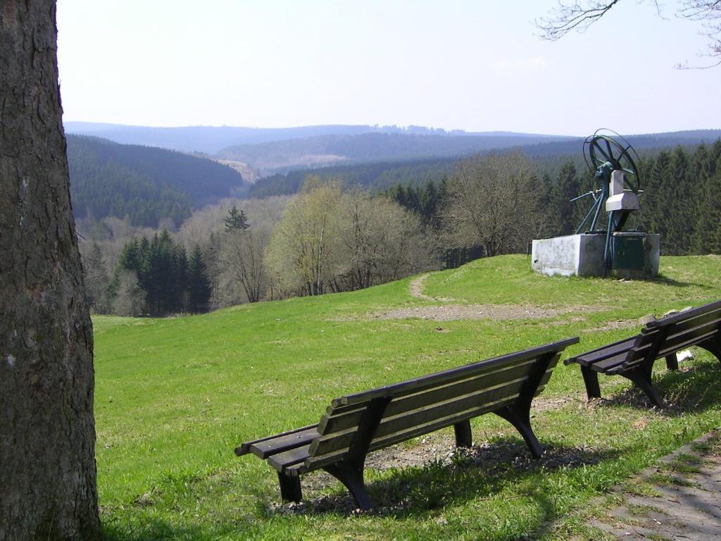 Ferienwohnung Im Harz-Haus-Bruns クラウスタール・ツェラーフェルト エクステリア 写真