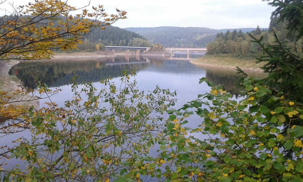 Ferienwohnung Im Harz-Haus-Bruns クラウスタール・ツェラーフェルト エクステリア 写真