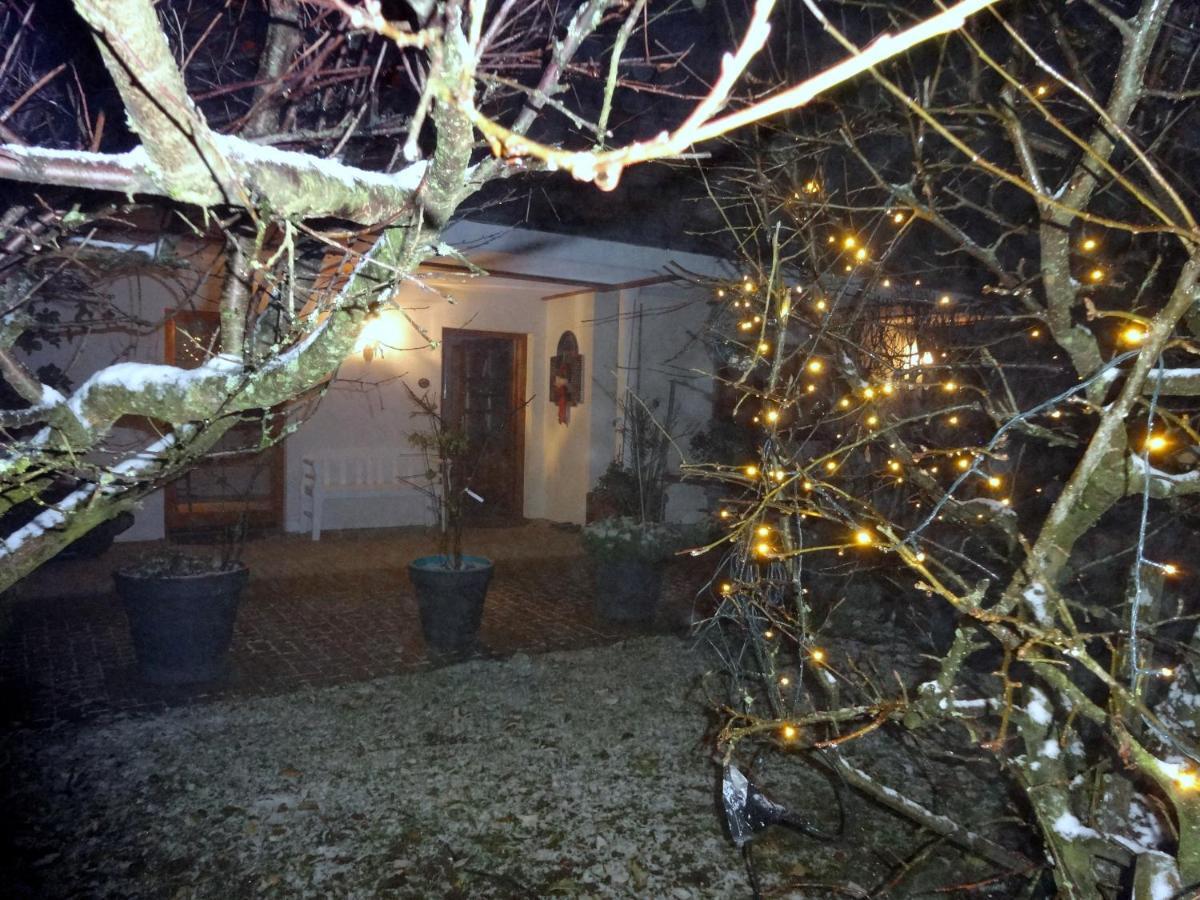 Ferienwohnung Im Harz-Haus-Bruns クラウスタール・ツェラーフェルト エクステリア 写真